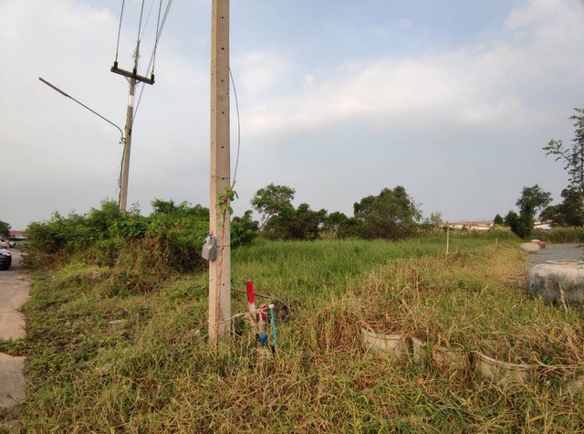 ขายที่ดินสวยท่าทราย 6ไร่ ใกล้พระราม2 ถ.สุชัย  อ.เมืองสมุทรสาคร   ZW299