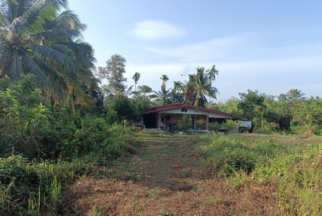 รายละเอียดเพิ่มเติมCode ID : PKK02-08885ราคาขาย      4,798,000 บาท- ขนาดพื้นที่ :    1,725.20 ตร.ว (4 ไร่ / 1 งาน / 25.20 ตร.ว)- พื้นที่ใช้สอย :  223.25 ตร.ม- จำนวนห้อง : 4 ห้องนอน 3 ห้องน้ำ- ที่จอดรถ :    1-2 คัน- บ้านเดี่ยว :   1 ชั้น- บ้านเดี่ยวหันทางทิศ : -- อายุอาคาร :    9 ปีพิกัดทรัพย์ :    https://maps.app.goo.gl/EpQeZsRFr1LiHjBQ8สถานที่ใกล้เคียง- ใกล้โรงพยาบาลธนบุรี ตรัง- ใกล้โรงเรียนวัดไทรงาม- ใกล้โรงเรียนบูรณะรำลึก- ใกล้โรงเรียนตรังคริสเตียนศึกษา�