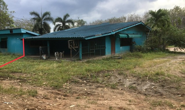 รายละเอียดเพิ่มเติมCode ID : PKK02-07037ราคาขาย       2,454,000 บาท- ขนาดพื้นที่ :  558.90 ตร.ว (1 ไร่ / 1 งาน / 58.90 ตร.ว)- พื้นที่ใช้สอย :      92 ตร.ม- จำนวนห้อง :    2 ห้องนอน - ห้องน้ำ- ที่จอดรถ :   1-2 คัน- บ้านเดี่ยว :      1 ชั้น- บ้านเดี่ยวหันทางทิศ : -- อายุอาคาร : - ปีพิกัดทรัพย์ :     https://maps.app.goo.gl/4qYr3MGTTTojah7YAสถานที่ใกล้เคียง- ใกล้โลตัส โกเฟรช บ้านโพธิ์ ตรัง- ใกล้โลตัส โกเฟรช วังวิเศษ ตรัง- ใกล้ท็อปส์ สาขา ตรัง- ใกล้โรงพยาบาลธนบุรี ต�