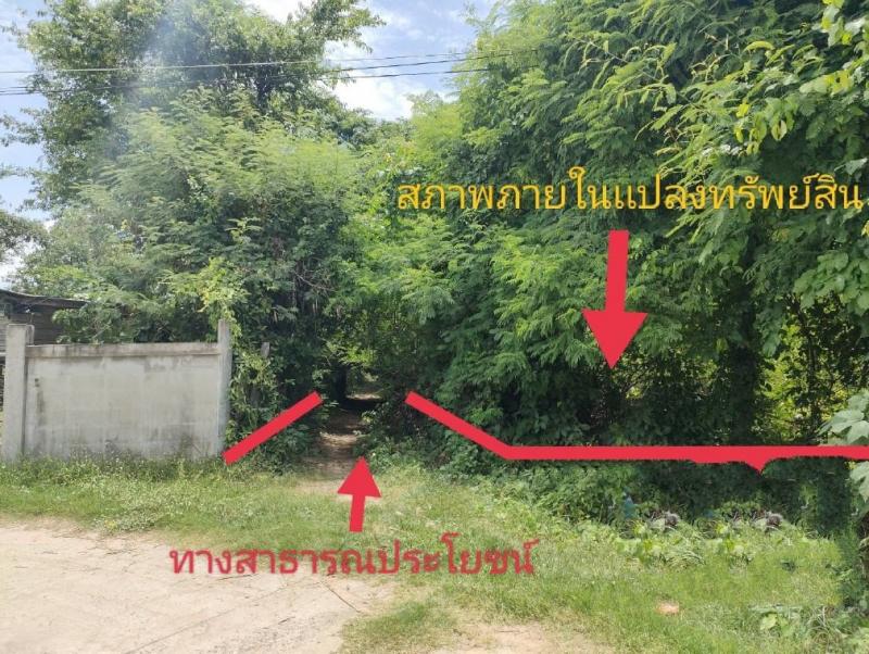 ขาย ที่ดิน ที่ดินเปล่า บ้านชำแฮด  อ.บรบือ จ.มหาสารคาม PSC00580