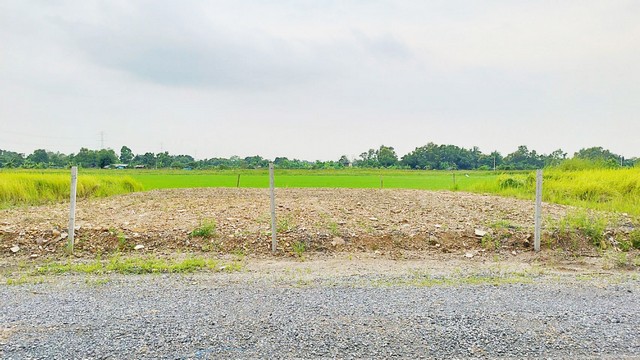 ขายที่ดิน(ถมแล้ว) 100 ตร.ว. คลอง 12 เหมาะสร้างบ้าน, สร้างโกดัง หรือสวนยามเกษียณ ใกล้ กทม.- แปลงเนื้อที่ 100 ตารางวา- ที่ดินถมแล้ว ดินลูกรังอย่างดี (สวยมาก)- กว้าง 20x20 เมตร- ไฟฟ้า 3 เฟส- ถนนวางท่อระบายน้ำแล้วรอลาดยางสถานที่ใกล้เคียง** ใกล้กับตลาดลาดบัวหลวง, ใกล้กับเซเว่น และซีเจ ซูเปอร์มาเก็ต, ใกล้กับโรงงานฤทธาพิกัดที่ดิน https://maps.app.goo.gl/YLocVqpZnhCVyw3DAราคา 500,000 บาทสนใจอสอบถามได้ที่เบอร์โท