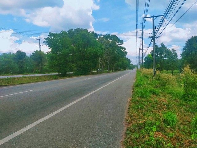 ขายสวนทุเรียนให้ผลผลิตเต็มที่ติดถนนสุขุมวิท 18 ไร่เขตซากโดน อ.แกลง จ.ระยอง