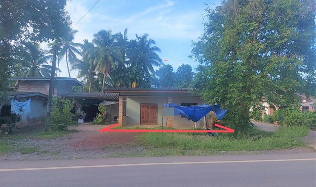 รายละเอียดเพิ่มเติมCode ID : PKK02-12377ราคาขาย        1,062,000 บาท- ขนาดพื้นที่ : 78 ตร.ว - พื้นที่ใช้สอย :   148.50 ตร.ม- จำนวนห้อง :  2 ห้องนอน 1 ห้องน้ำ- ที่จอดรถ :      1-2 คัน- บ้านเดี่ยว  :    1 ชั้น- บ้านเดี่ยวหันทางทิศ : -- อายุอาคาร :   15 ปีพิกัดทรัพย์ :  https://maps.app.goo.gl/Eij9rGGsnFwzHjRZAสถานที่ใกล้เคียง- ใกล้ตลาดรัษฎาพลาซ่า - ใกล้โลตัส​ คลองปาง- ใกล้โรงพยาบาลส่งเสริมสุขภาพตำบลหนองบัว- ใกล้โรงเรียนบ้านหนองบัวสอบถามเพิ่มเติม/