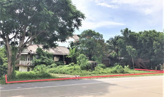 รายละเอียดเพิ่มเติมCode ID : PKK02-09541ราคาขาย         5,376,000 บาท- ขนาดพื้นที่ :  934.30 ตร.ว (2 ไร่ / 1 งาน / 34.30 ตร.ว)- พื้นที่ใช้สอย :   200 ตร.ม- จำนวนห้อง :   2 ห้องนอน - ห้องน้ำ (มีชั้นใต้ดิน)- ที่จอดรถ :  1-2 คัน- บ้านเดี่ยว :     1 ชั้น- บ้านเดี่ยวหันทางทิศ : -- อายุอาคาร :  18 ปีพิกัดทรัพย์ :    https://maps.app.goo.gl/476TEUVtJTqhB69YAสถานที่ใกล้เคียง- ใกล้เทสโก้ โลตัส ตรัง- ใกล้วัดควนธานี- ใกล้โรงเรียนแสงธรรมวิทยาตรังมูลนิธิ- ใกล้โรงเรียนนูร�