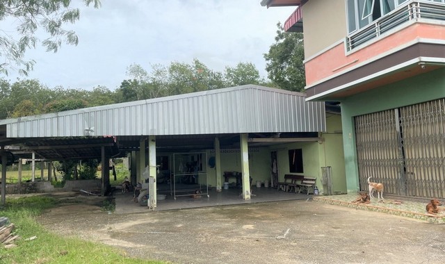 ขายบ้านเดี่ยว      อำเภอเมืองตรัง  ตรัง (PKK02-14678)