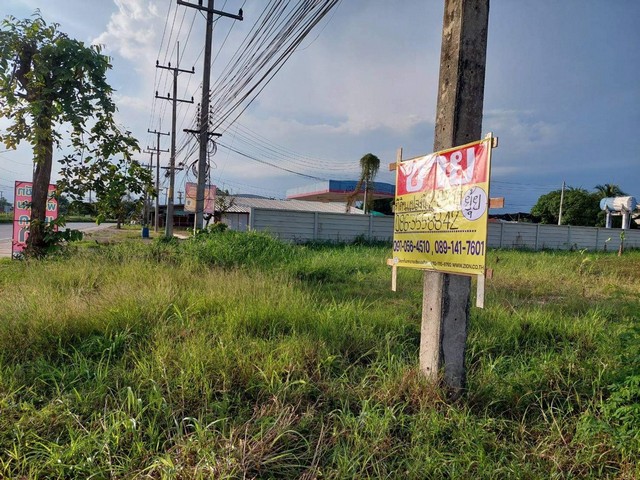 ขายที่ดินเปล่า เนื้อที่ 2-0-78 ไร่ บางแพ ราชบุรี ติดถนนทางหลวงหมายเลข 325 ทำเลเยี่ยม   ZT287