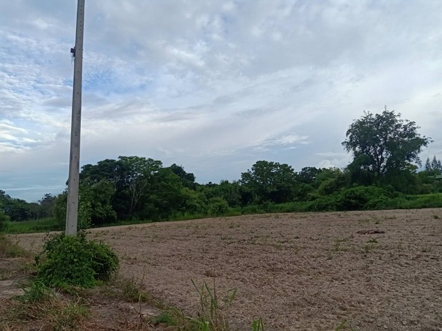 ขายที่ดินเริ่ม 347.6ตรว. 695,200บาท ถนน น้ำ ไฟฟ้า ต.บ้านธิ อ.บ้านธิ ลำพูน