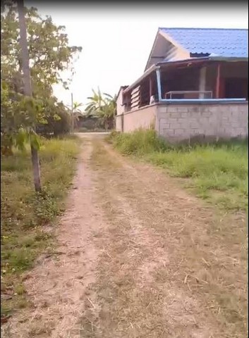 ขายที่ดิน 1 งาน 900,000 บาท ฟรีโอน ใกล้ร้านเนโกะเอม่อน ถม ถนน ไฟฟ้า ประปา ต.ชมภู อ.สารภี เชียงใหม่