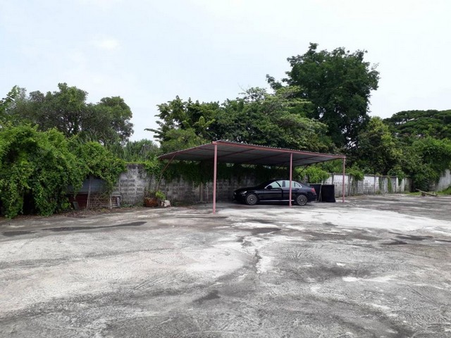 ขายที่ดินถมแล้ว 3 ไร่ติดถนนใหญ่ ย่านบางกรวย-ไทรน้อย บางบัวทอง ใกล้วัดเล่งน่ยยี่ 2 ใกล้MRT บางพลูราคาขาย 85,000 บาท / ตารางวา ( ค่าใช้จ่ายในโอนคนละครึ่ง )ที่ตั้ง ถนนบางกรวย - ไทรน้อย ตำบล บางรักพัฒนา อำเภอบางบัวทอง นนทบุรี 11110ติดต่อ : คุณภัสพงณ์ 063-409-8164 ,0813987741Line : deedaa23เนื้อที่ 3 ไร่ หน้ากว้างติดถนน 45 เมตร ความลึก 120 เมตรใกล้รถไฟฟ้าสายสีม่วง MRT บางพลูและใกล้รถไฟฟ้าสายสีชมพู Central Westgate, Ikea บ