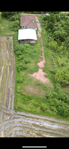 ขายที่พร้อมสิ่งปลูกสร้าง ต.อ่างทอง อ.เมือง จ.ราชบุรี 1 ไร่ 79 ตรว