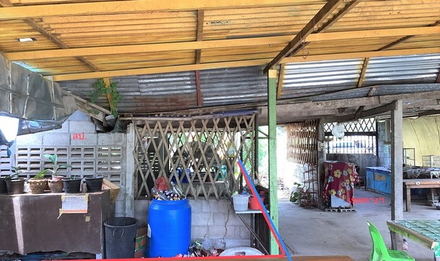 ขายบ้านเดี่ยวใกล้ โรงพยาบาลบางสะพาน อ.บางสะพาน จ.ประจวบคีรีขันธ์ PKK02-11154