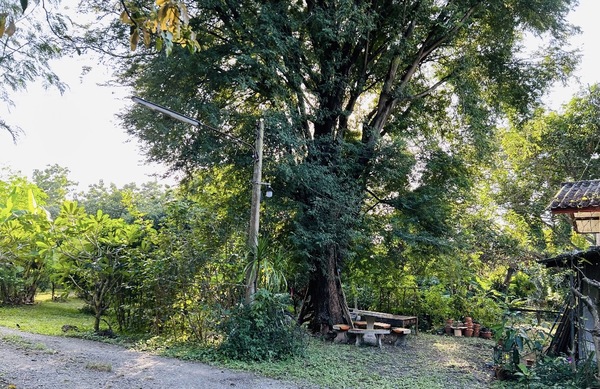 ขายที่ดินพร้อมบ้านสวน ห้อง เนื้อที่ 1ไร่ 13 ตร.ว. [M25662]อ.ชัยบาดาล จ.ลพบุรีที่ดินอยู่ในซอย เข้าไปประมาณ 2 กิโลที่ดินติดถนน 4 เลน ถนนสายสระบุรี-หล่มสัก (ทางหลวงหมายเลข 21)ที่ดิน เป็นบ้านสวน ติดถนนสาธารณะพร้อมบ้านสวน 2 ชั้นสถานที่ใกล้เคียงขนส่งจังหวัดลพบุรี สาขาอำเภอชัยบาดาลศูนย์ฝึกยุทธวิธีกองทัพบกสถานีขนส่งชัยบาดาลบริษัท สหฟาร์ม จำกัด ต.เขาแหลมศาลจังหวัดชัยบาดา