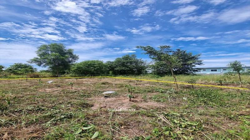 ขายที่ดินเปล่าชลบุรีติด ถนนเทพมิมิต ใกล้หาดกระทิงลาย เพียง 7 กม.เชื่อมต่อกับถนนหลายเส้น เช่นถนนหลวงหมายเลข 36 ถนนสุขุมวิท ถนนเลียบทางรถไฟ  และทางหลวงพิเศษหมายเลข 7 ที่ดินขนาด 200 ตารางวาหน้ากว้าง 21 เมตร ลึก 40 เมตร ที่ดินผังสีเหลืองอ่อน ประเภทที่ดินชุมชนชนบทที่ดินใกล้แหล่งชุมชน เหมาะสำหรับสร้างบ้านพักอาศัย, บ้านพักตากอากาศ ใกล้สิ่งอำนวยความสะดวกหลากหลาย อา