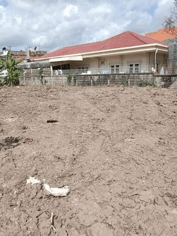 C4203 ขายที่ดิน 200 ตารางวา ซอยพหลโยธิน 53 ใกล้รถไฟฟ้า BTS สถานีกรมทหารราบที่ 11 ใกล้มหาวิทยาลัยศรีปทุม