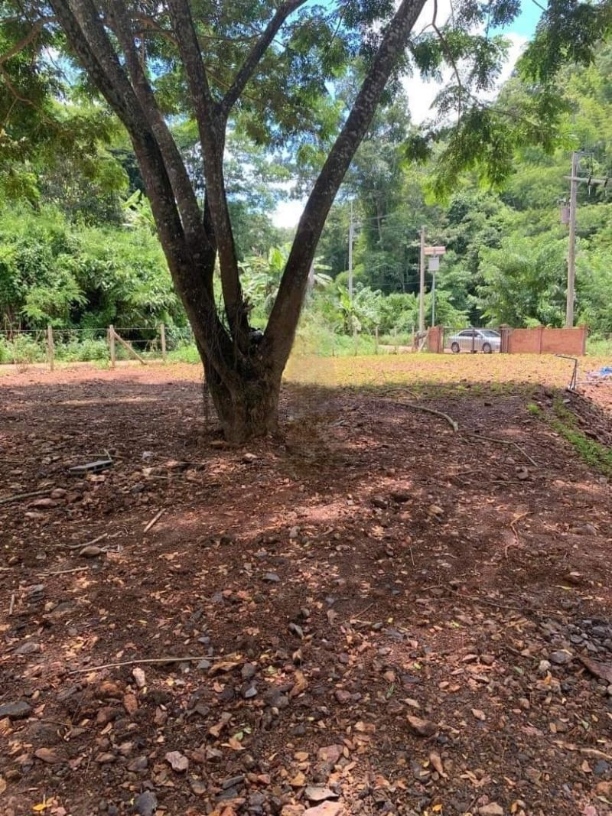 โซนหางดง 1.6 ล้าน เนื้อที่ 141 ตรว. #น้ำแพร่ #ติดบ้านม่อนอิงสุข แม่ขนิล มีลำเหมืองไหลผ่าน ที่ดินสวย มีต้นใหญ่ ให้ความร่มรื่น