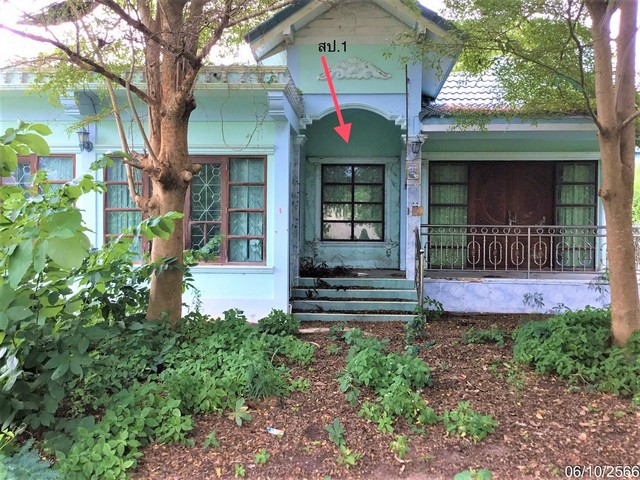 รายละเอียดเพิ่มเติม Code ID : PKK02-14889  ราคาขาย  2,461,000 บาท- ขนาดพื้นที่ :  400.00 ตร.ว. - พื้นที่ใช้สอย :  179.84 ตร.ม. - จำนวนห้อง :   3 ห้องนอน 2 ห้องน้ำ - ที่จอดรถ :    1   คัน- บ้านหันทางทิศ : ตะวันออกเฉียงใต้  พิกัดทรัพย์ : https://maps.app.goo.gl/hybNYJezL5W5rGHT6    สถานที่ใกล้เคียง- ใกล้โลตัส โกเฟรช ทับสะแก- ใกล้ซีพี เฟรชมาร์ท  - ใกล้ซีเจ มอร์ สาขาทับสะแก- ใกล้โลตัสโกเฟส ทับสะแก    สอบถามเพิ่มเติม/นัดชมโทร. 097-419-5982(พลอย)โทร. 096-932-4624(ออมส�