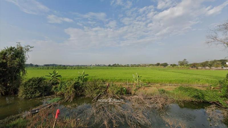 ขายที่นา ใกล้ อบต.คลองข่อย จากถนนราชพฤกษ์ 1.5 กม. ถึงที่ดิน ที่ติดถนน 2 เส้นเนื้อที่รวม 70-0-85.5ไร่