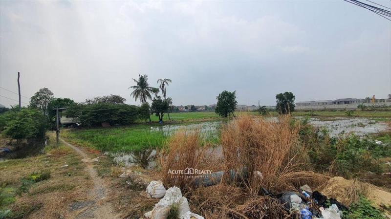 ขายที่ดินเปล่า ติดถนนราชพฤกษ์ เนื้อที่รวม 23-2-89.7 ไร่