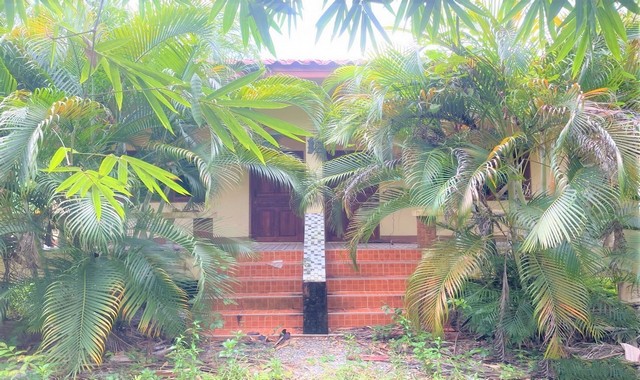 รายละเอียดเพิ่มเติมCode ID :   PKK02-15194  ราคาขาย     3,398,000 บาท- ขนาดพื้นที่ :  1,413 ตร.ว (3 ไร่ / 2 งาน / 13 ตร.ว)- พื้นที่ใช้สอย :   72 ตร.ม- จำนวนห้อง :    1 ห้องนอน 1 ห้องน้ำ - ที่จอดรถ :    1-2 คัน- บ้านเดี่ยว :     1 ชั้น- บ้านเดี่ยวหันทางทิศ : -- อายุอาคาร :    7 ปีพิกัดทรัพย์ :   https://maps.app.goo.gl/4p5ND5bCQdzsN7CLAสถานที่ใกล้เคียง- ใกล้โลตัส โกเฟรช ชะอวด นครศรีธรรมราช- ใกล้โรงพยาบาลชะอวด- ใกล้โรงเรียนชะอวดวิทยาคาร- ใกล้โรงเรียนบ้านชะอว�