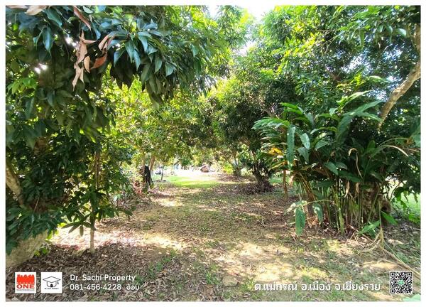 ขายที่ดินบรรยากาศดี ใกล้ ไร่บุญรอด สิงห์ปาร์ค 1-1-88.7 ไร่ พร้อมสวนผลไม้ ต.แม่กรณ์ อ.เมือง จ.เชียงราย