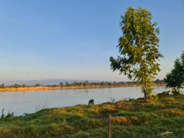 ขายที่ดินติดแม่น้ำโขง 18-2-70 ไร่ ต.กุดบง อ.โพนพิสัย จ.หนองคาย หน้าติดถนนโยธาธิการ หลังติดแม่น้ำโขง ไร่ละ 2ล้านบาท โทร 096-882-1857