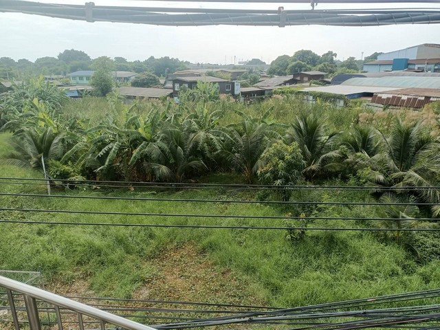 ขายด่วนที่ดินสวยถมแล้ว  5-1-75 ตารางวา แบ่งขายได้ ติดถนนปู่เจ้าสมิงพราย  พระประแดง จ.สมุทรปราการ    ZTK017