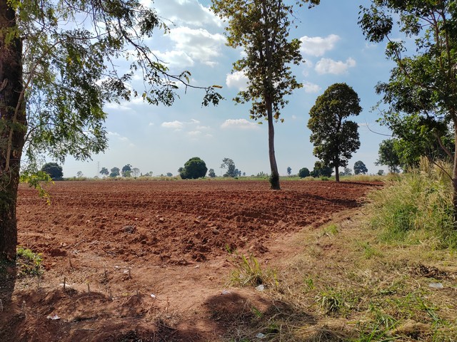 ขายด่วนที่ดิน 12-3-91 ไร่  ติดถนน 2039 ต.สีสุก  อ.จักราช   จ.นครราชสีมา   ZE588