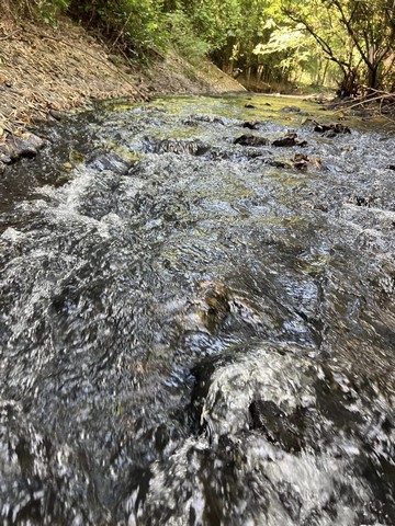 ที่สวนติดลำธารสาริกา นครนายกเดินทางสะดวก มีผลไม้และต้นไม้ใหญ่ให้ความร่มเงา  แบ่งขาย 3 แปลง 9,500/ตรว.