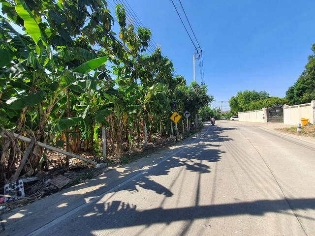 พื้นที่ดิน ที่ดิน ตำบลท่าอิฐ อำเภอปากเกร็ด จังหวัดนนทบุรี 0 ตารางวา 0 งาน 6 ไร่  ไม่ไกลจาก หมู่บ้านประดับดาว สนั่นวงการ ด้านหน้าติดถนน, ที่ดินถมแล้ว, ติดกับหมู่บ้านประดับดาว