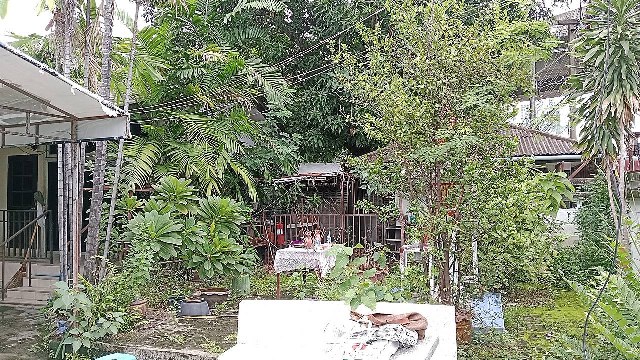 ขายด่วน!! ถูกสุดๆๆ บ้านพร้อมที่ดิน  ซอยรัชฏภัณฑ์ - หมอเหล็ง ดินแดง 8 เนื้อที่  228 ตรว. ใกล้ ถนนดินแดง ตัดใหม่ เพียง 150 เมตร  แขวงมักกะสัน เขตราชเทวี กรุงเทพมหานคร