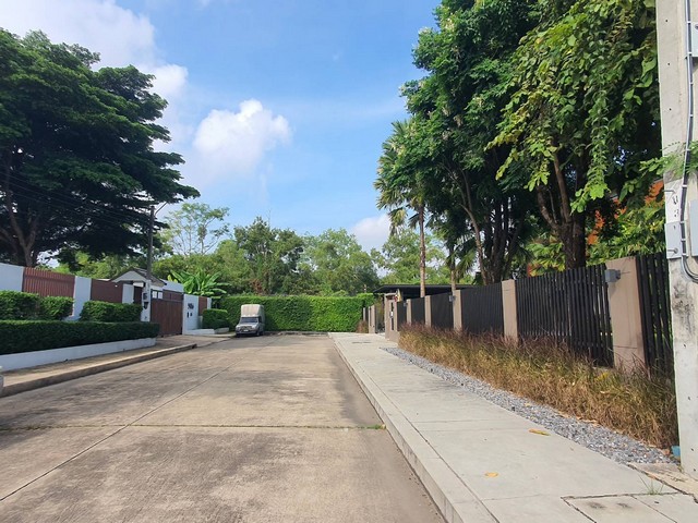 ขายบ้านเดี่ยว 2 ชั้น 300 ตารางวา หมู่บ้านปัญญาอินทรา P.7 บ้านหันทิศใต้ บรรยากาศร่มรื่น ปลอดโปร่ง