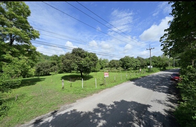 ขายที่ดิน 1 ไร่ 1 งาน (500 ตรว.)  ต.พญาเย็น อ.ปากช่อง จ.นครราชสีมา