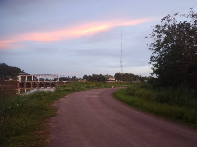 ขายที่ดิน 187 ตร.วา ใกล้คลองชลประทานชุมพร  ต.บางลึก อ.เมืองชุมพร จ.ชุมพร   ZCP056