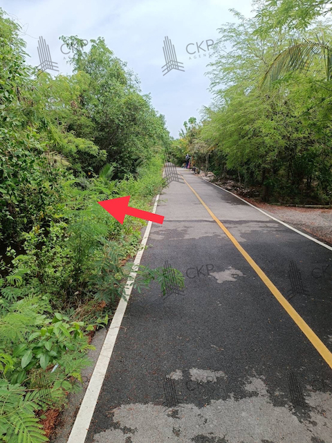 ขาย ที่ดินเปล่า ขนาด 3 ไร่ 130 ตร.วา ไม่ไกลจากตลาดน้ำท่าคา,ตลาดน้ำอัมพวา ห่างจากตัวเมืองไม่ไกล ต.นางตะเคียน อ.เมือง สมุทรสงคราม สนใจติดต่อสอบถามได้ค่ะการเดินทาง - ถนนหมายเลข 2001  1.5 กิโลเมตร- ถนนหมายเลข 3092  5.5 กิโลเมตรรายละเอียด (Description) - ขนาด 3 ไร่ 130 ตร.วาสถานที่ใกล้เคียง (Nearby Placess) - วัดใหม่บางปืน  2 กิโลเมตร- โรงเรียนวัดธรรมาวุธาราม  2 กิโลเมตร- สถานีตำรวจภูธรลาดใหญ่  3 กิโลเมตร- ตล