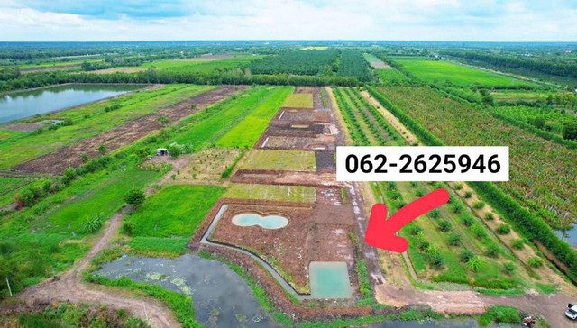 ขายที่ดินปทุมธานี คลอง 14 พื้นที่ 1 ไร่ครึ่ง รับโปรพิเศษเฉพาะช่วงปีใหม่เท่านั้นก่อนสิ้นปีนี้เท่านั้น‼️