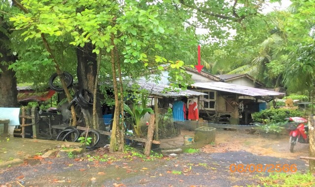 ขายบ้านที่ดินว่างเปล่า โรงพยาบาลตะกั่วทุ่ง อำเภอตะกั่วทุ่ง จังหวัดพังงา PKK02-11669