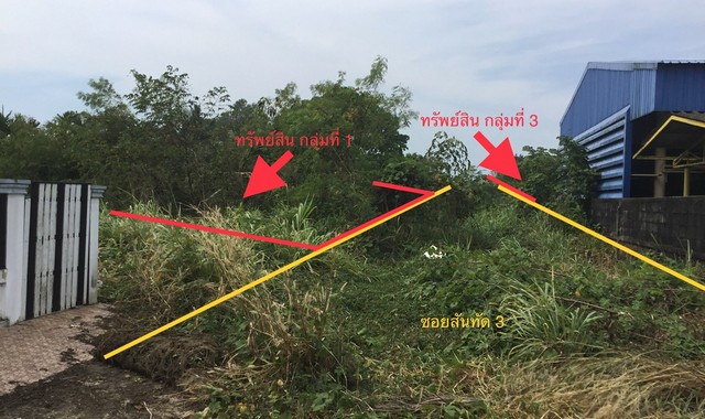 ขายที่ดินว่างเปล่าใกล้ โรงพยาบาลปากน้ำชุมพร อำเภอเมืองชุมพร จังหวัดชุมพร PKK01-11563