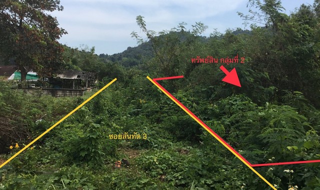 ขายที่ดินว่างเปล่าใกล้ โรงพยาบาลปากน้ำชุมพร อำเภอเมืองชุมพร จังหวัดชุมพร PKK01-11563