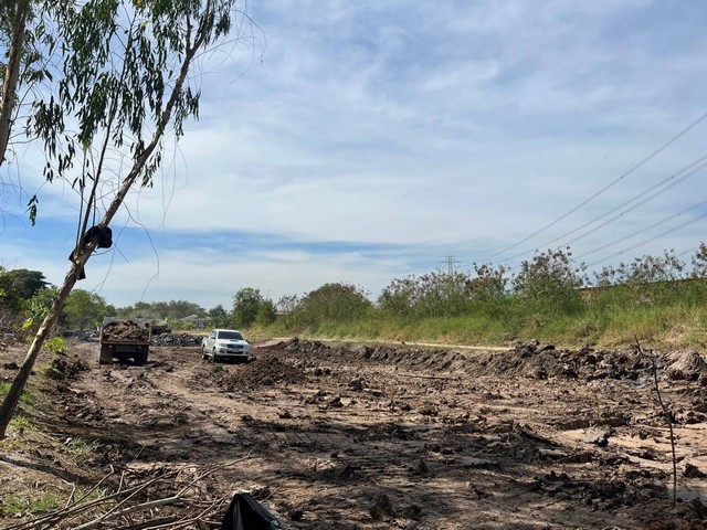 ที่ดินวังน้อย  หันตะเภา อยุธยา  เงินสดแบ่งชำระได้ 1 ปี