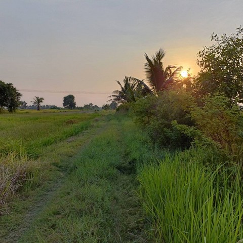 ที่ดิน 1 ไร่2 งาน 1,470,000 บาท คลอง8 หนองเสือ ปทุมธานี