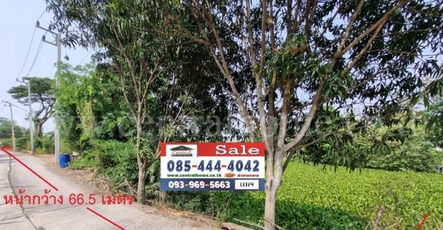 P1 ที่ดินเปล่า 5 ไร่ บ้านปทุม สามโคก เชียงราก ปทุมธานี ใกล้ แม่น้ำเจ้าพระยา