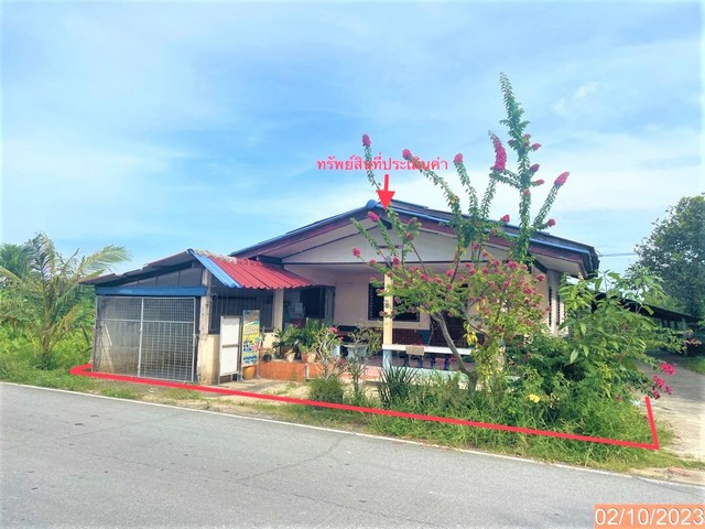   รายละเอียดเพิ่มเติม Code ID : PKK02-10142  ราคาขาย  1,311,000 บาท- ขนาดพื้นที่ :  70.80 ตร.ว. - พื้นที่ใช้สอย :  116.00 ตร.ม. - จำนวนห้อง :  3 ห้องนอน 1 ห้องน้ำ  - ที่จอดรถ :   1    คัน- บ้านหันทางทิศ : ตะวันออกเฉียงใต้  พิกัดทรัพย์ : https://maps.app.goo.gl/Pwm9My5XeyEQM1Nj7    สถานที่ใกล้เคียง- ใกล้โรงพยาบาลค่ายวชิราวุธ ท่าแพ- ใกล้ซุปเปอร์มาร์เก็ต - ใกล้โลตัส โกเฟรช ตลาดท่าแพ- ใกล้ซุปเปอร์มด น้ำแคบ สอบถามเพิ่มเติม/นัดชมโทร. 097-419-5982(พลอย)โทร.