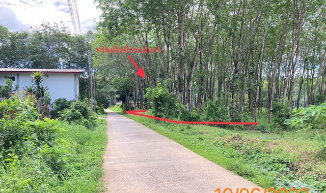 ขายที่ดินว่างเปล่าใกล้ โรงพยาบาลเกาะยาว อำเภอเกาะยาว จังหวัดพังงา PKK01-11911