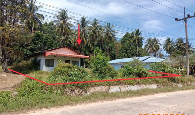   รายละเอียดเพิ่มเติม Code ID : PKK02-13955  ราคาขาย 3,485,000  บาท- ขนาดพื้นที่ :   397.00 ตร.ว.- พื้นที่ใช้สอย :   54.00 ตร.ม.- จำนวนห้อง :  1 ห้องนอน 1 ห้องน้ำ  - ที่จอดรถ :    1   คัน- บ้านหันทางทิศ : - พิกัดทรัพย์ : https://maps.app.goo.gl/7yopAJBZ8ATvr3hDA    สถานที่ใกล้เคียง- ใกล้โรงพยาบาลส่งเสริมสุขภาพตำบลบ้านโล๊ะโป๊ะ - ใกล้ โรงพยาบาลเกาะยาว   - ใกล้7-Eleven สาขา เกาะยาวใหญ่ (14267) - ใกล้ Shop And Shakes  ร้าน อนันต์ มินิมาร์ทสอบถามเพิ่มเติม/นัดชมโทร. 097-419-5982(