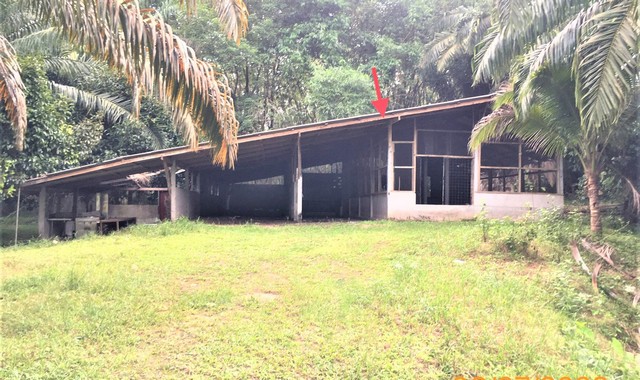 ขายบ้านเดี่ยวใกล้ อุ่นทรัพย์เจริญ ซุปเปอร์มาร์ท อำเภอคุระบุรี จังหวัดพังงา PKK02-14884