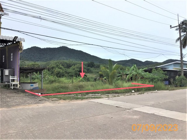 ขายที่ดินว่างเปล่าใกล้ ตลาดนัดชุมชน อำเภอเกาะยาว จังหวัดพังงา PKK01-11881