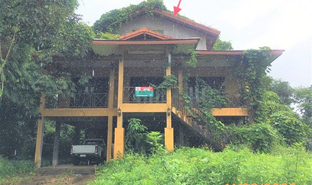  รายละเอียดเพิ่มเติม Code ID : PKK02-11212  ราคาขาย  4,389,000 บาท- ขนาดพื้นที่ :  319.00 ตร.ว.- พื้นที่ใช้สอย :  492.00 ตร.ม. - จำนวนห้อง :  2 ห้องนอน 3 ห้องน้ำ  - ที่จอดรถ :   2    คัน- บ้านหันทางทิศ : ตะวันตกเฉียงใต้    พิกัดทรัพย์ : https://maps.app.goo.gl/1tTSVRyHD3BhwZWp9    สถานที่ใกล้เคียง- ใกล้ตลาดนัดคึกคัก- ใกล้โรงพยาบาลส่งเสริมสุขภาพตำบลคึกคัก - ใกล้บ้านศรีเมือง โลตัส - ใกล้โกเฟรช สาขาคึกคักพังงา  สอบถามเพิ่มเติม/นัดชมโทร. 097-419-5982(พล�