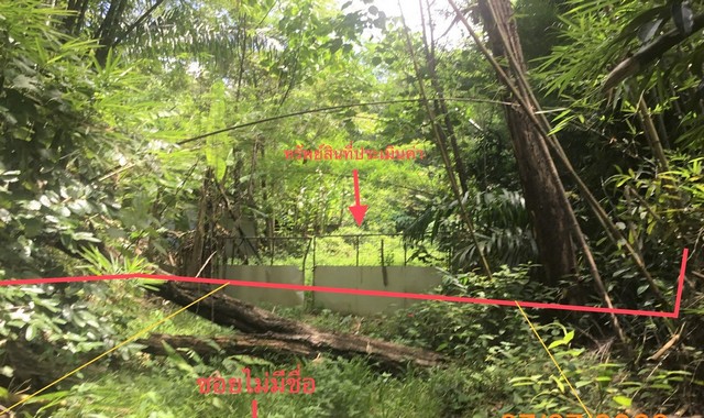  รายละเอียดเพิ่มเติม Code ID : PKK02-14568  ราคาขาย 4,183,000  บาท- ขนาดพื้นที่ :   4455.30 ตร.ว.- พื้นที่ใช้สอย : 46.21 ตร.ม.  - จำนวนห้อง :  1 ห้อนอน 3 ห้องน้ำ  - ที่จอดรถ :   2    คัน- บ้านหันทางทิศ : ตะวันออกเฉียงใต้  พิกัดทรัพย์ : https://maps.app.goo.gl/VFxYKMiVB2S88CtU6    สถานที่ใกล้เคียง- ใกล้ตลาดบ้านสวนพริก - ใกล้ ตลาดริมน้ำบ้านขุมมุด - ใกล้โรงพยาบาลส่งเสริมสุขภาพ บ้านทุ่งขี้เหล็ก- ใกล้สำนักงาน กศน.จังหวัดพังงา  สอบถามเพิ่มเติม/นั