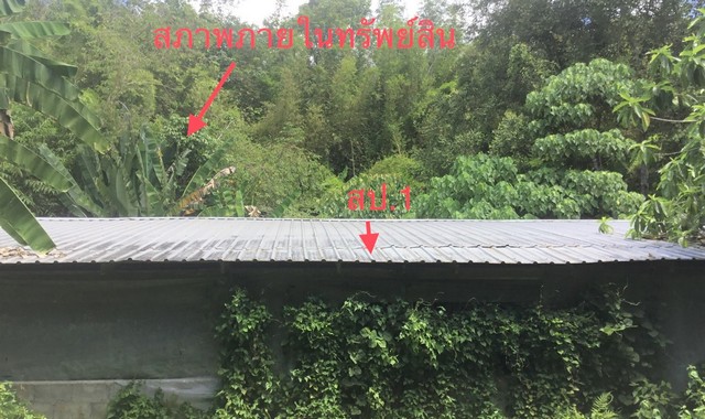 ขายบ้านเดี่ยวใกล้ ตลาดบ้านสวนพริก อำเภอตะกั่วทุ่ง จังหวัดพังงา PKK02-14568