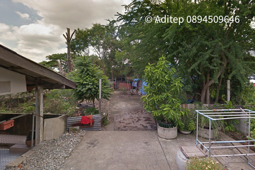 Property ID:  M4202ขายที่ดินบางบัวทอง 200 ตารางวา ซ.ร่มโพธิ์ทอง ใกล้รถไฟฟ้าสายสีม่วงสถานีบางพลู เซ็นทรัลเวสเกต เหมาะปลูกบ้านVDO: https://youtu.be/LHJhge-h1A8ที่ตั้ง ซ.ร่มโพธิ์ทอง ถนนบางกรวย-ไทรน้อย ต.บางรักพัฒนา อ.บางบัวทอง จ.นนทบุรีพิกัดแปลง : https://goo.gl/maps/pfNBQfLuvjyQe5GZ6เนื้อที่ 200 ตร.วารูปสี่เหลี่ยมพื้นผ้าหน้ากว้าง 44 ม.ลึก 19.5 ม.ขาย 3,500,000 บาท (17,500 บาท/ตร.วา)ค่าโอนคนละครึ่งลักษณะเด่น :ที่ดินเปล่า ห่างจากรถไฟฟ้าสา